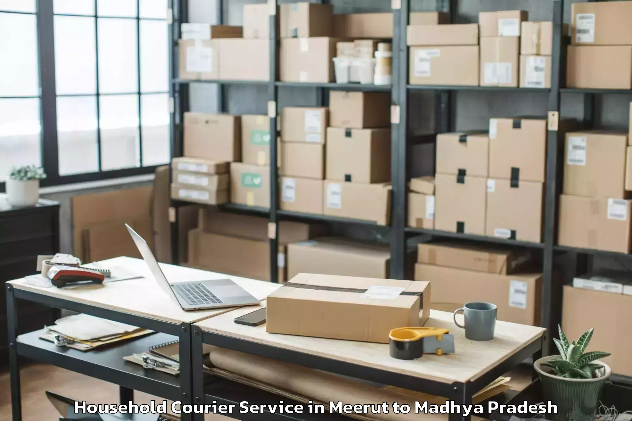 Discover Meerut to Dewas Household Courier